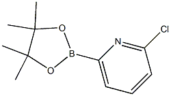 6-氯吡啶-2-硼酸频哪酯		